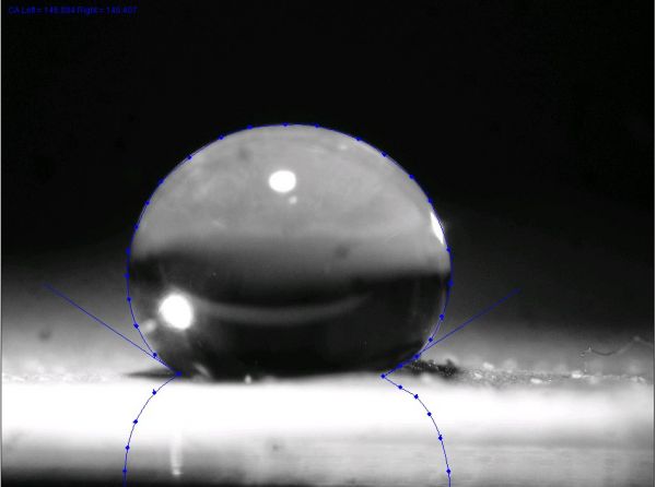 “猫是液体吗?”科学家们认真研究了这个问题