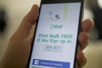 投资再失败？软银出售“遛狗”创企Wag Labs股份