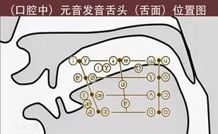 语音识别揭秘:你的手机究竟有多理解你?