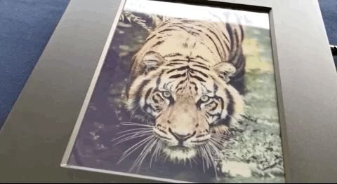 有了这项新技术,彩色版 Kindle 可能明年就来了