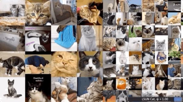 英伟达发布最强图像生成器StyleGAN2，生成图像逼真到吓人