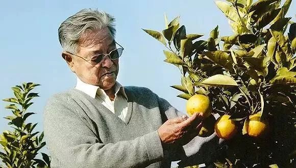 每个人都是一个创业公司,如何建立自己的商业模式