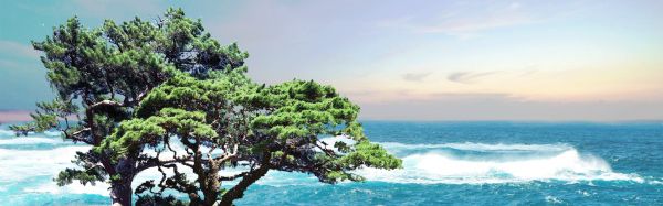 新资本 | 海松资本陈立光:整合产业资源,助力“硬科技”企业构建产业“护城河”