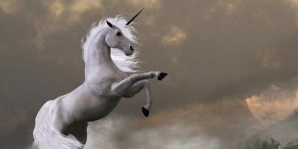 阿里腾讯竞争打到国外,积极投资印度独角兽公司