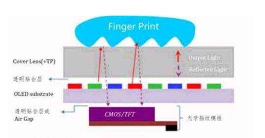 2019,为什么是“折叠屏元年”?