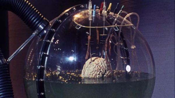 AI能让我们长生不老吗?