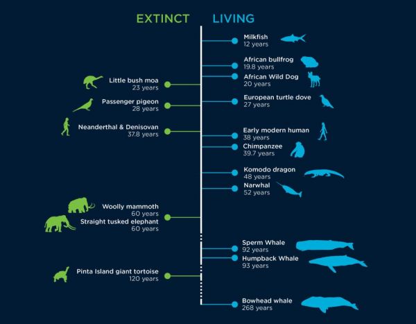 AI能让我们长生不老吗?