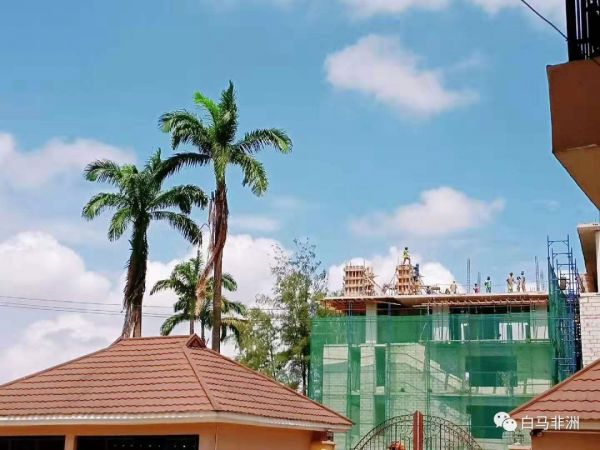 非洲修行第一年:谨慎乐观 道阻且长