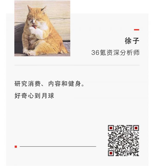 创业公司的2019年：理性狂奔，务实为王 | 36氪未来智库