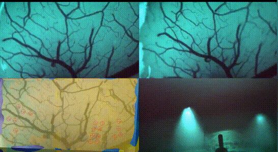 女子车祸后开始“改造”自己：左手芯片开门、右手可刷 NFC，这些“生物黑客”有多疯狂？