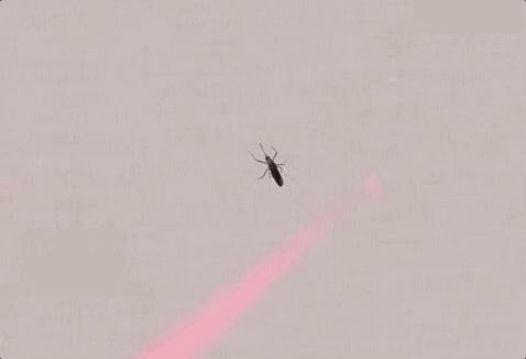 CES又出沙雕产品:AI找蚊子,只管找不管拍,售价高达1200,官网:可以让狗子帮你拍