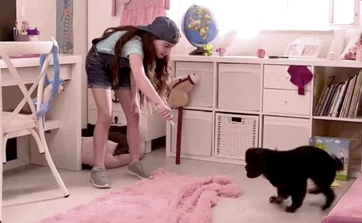 CES又出沙雕产品:AI找蚊子,只管找不管拍,售价高达1200,官网:可以让狗子帮你拍