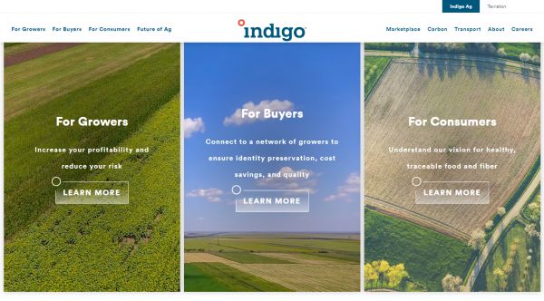 美国农业科技公司「Indigo AG」筹集 2 亿美元融资,利用大数据分析帮助提高作物产量
