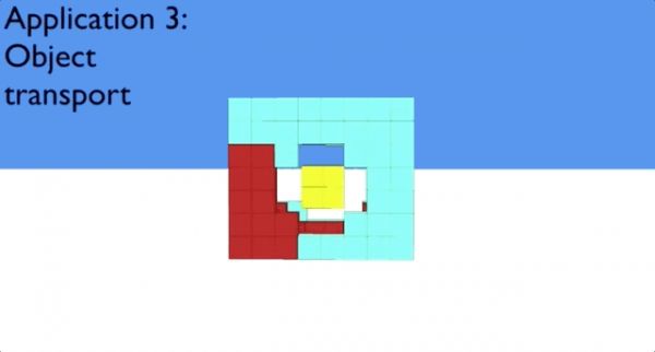 100%青蛙基因,全球首个可编程“活体机器人”诞生:被切成两半也能自己缝上