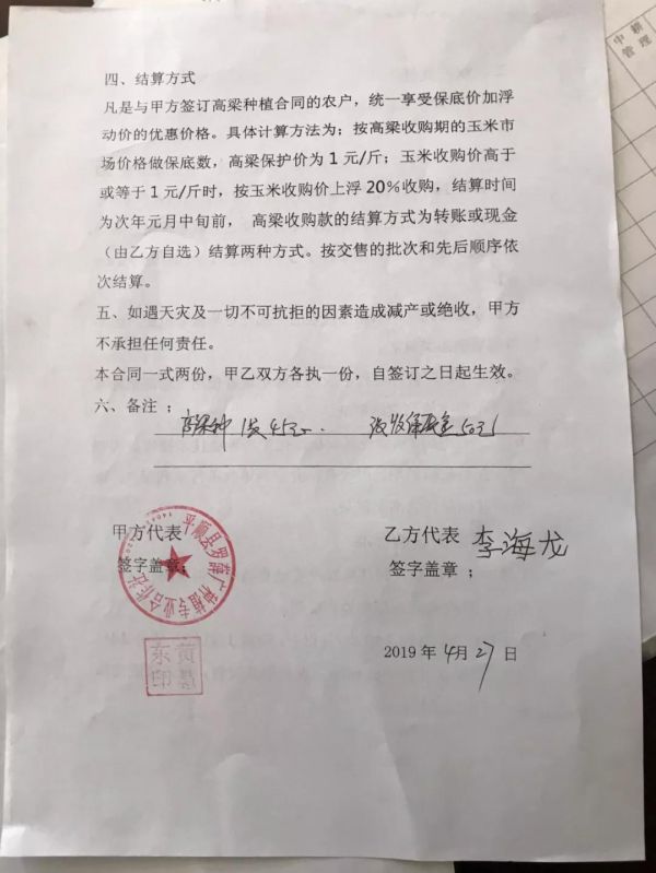 小县城,造“薇娅”