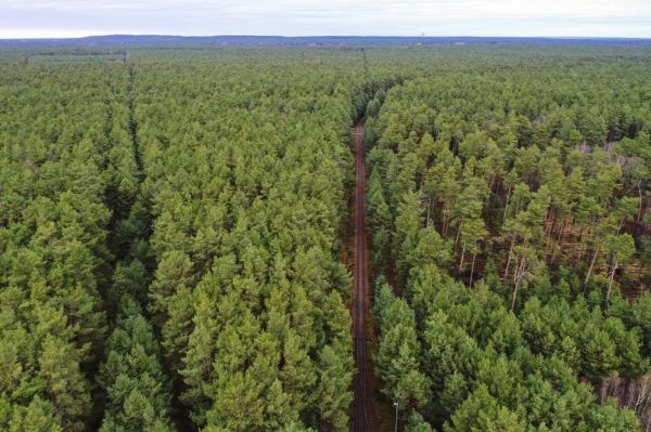 深入敌后的特斯拉,能复制上海超级工厂的成功吗?