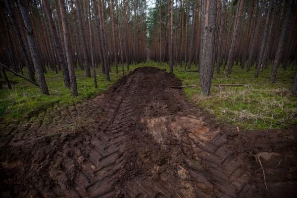 深入敌后的特斯拉,能复制上海超级工厂的成功吗?