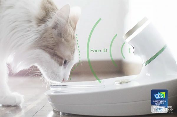AI解救铲屎官,喵脸识别、狗粮定制,宠物智能生活精彩远超想象
