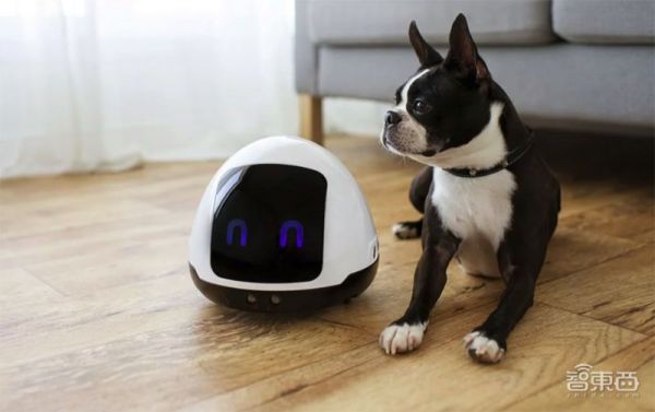 AI解救铲屎官,喵脸识别、狗粮定制,宠物智能生活精彩远超想象