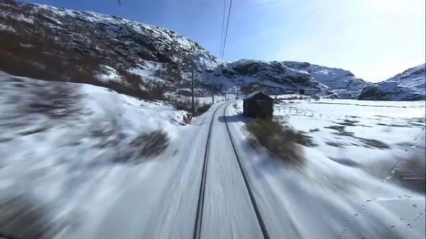 为什么79万人深夜看「直播造医院」