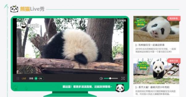 为什么79万人深夜看「直播造医院」