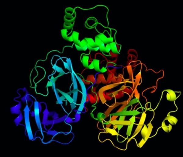 AI“捂热”冰冷疫情：阿里协助缩短确诊时间至半小时，百度绘出疫情百态