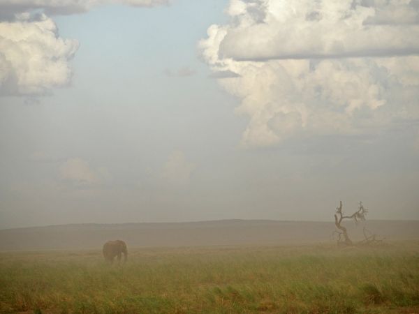 基因研究表明:空气污染或许决定了人类的命运