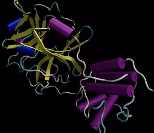 5G 和人工智能,这些新技术组成了“信息化防疫”