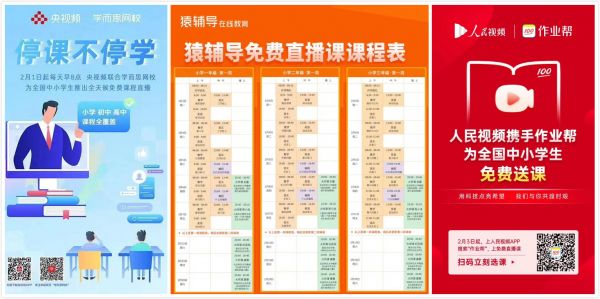 焦点分析 | 所有在家躲病毒喊无聊的人，都是教育直播的目标用户