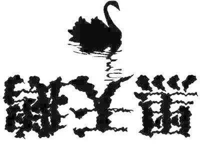 如何把握「黑天鹅」带来的机会?