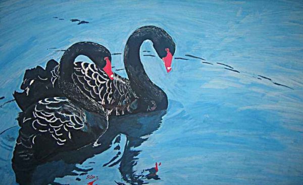 如何把握「黑天鹅」带来的机会?