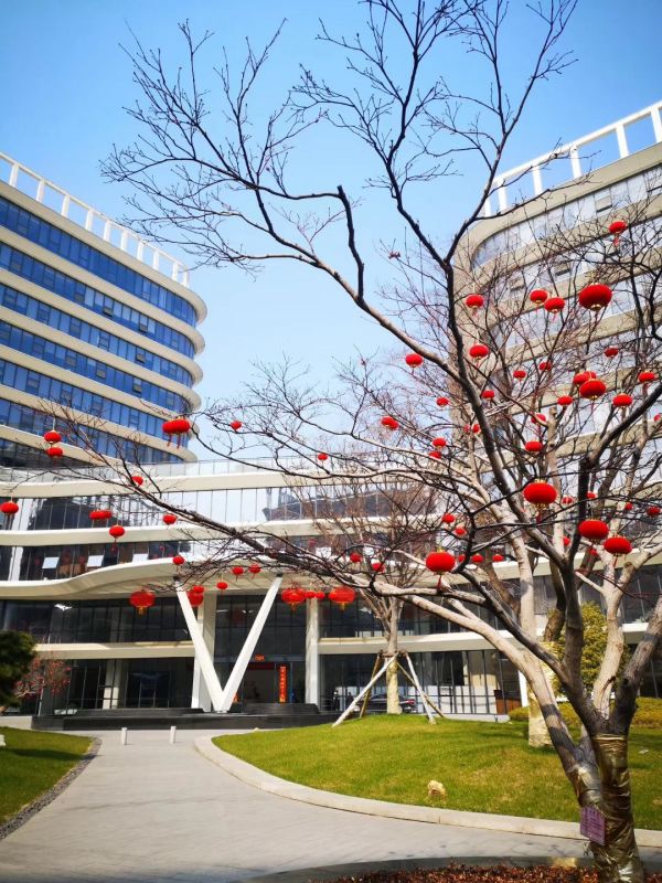 疫情之下,我为什么还敢创业?