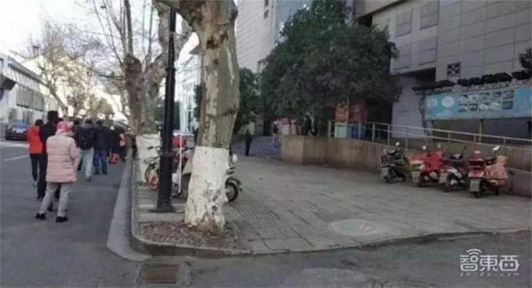 国家队出手,让5000万学生免费上网课,今天上线