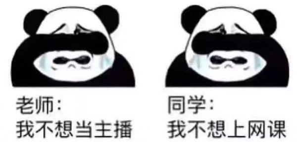 268篇10w+,钉钉求饶上热搜,那些与网课有关的日子真是一言难尽啊