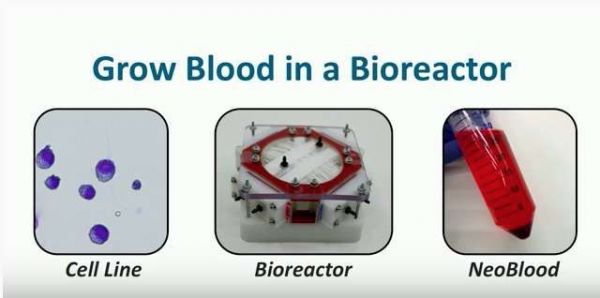 人造血液，大海里种大米，智能感知环境的塑料？一波硅谷生物科技创新者袭来