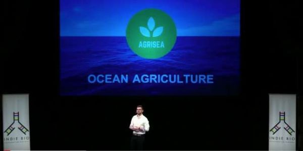 人造血液，大海里种大米，智能感知环境的塑料？一波硅谷生物科技创新者袭来