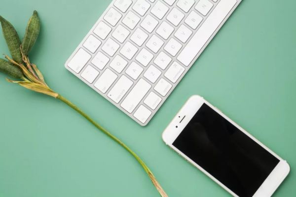 疫情中的苹果：下调营收预期、供应链复工难、零售店关停