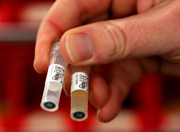 生物技术和生物经济:大放光彩的十年即将到来