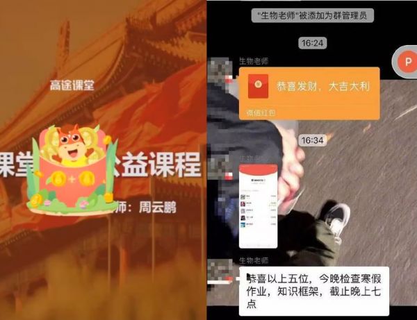 老师主播与神兽学生花式进阶,在线教育或迎黄金风口