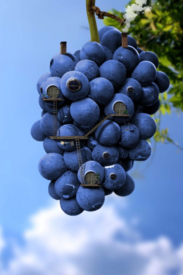 Photoshop 是怎样从名词变动词的?