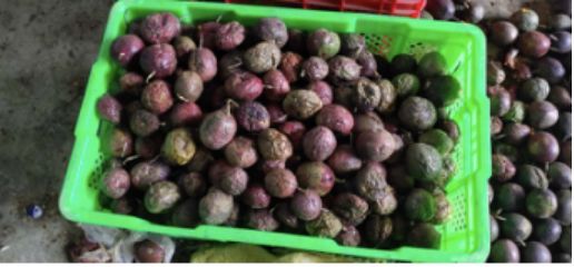 疫情中的电商助农:平台向下,农产品向上