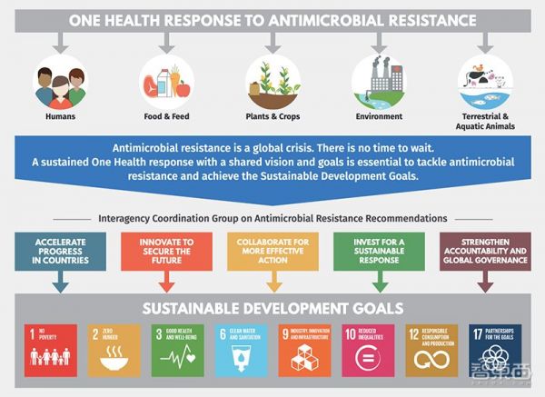 AI发现超级抗生素，能干掉多种致病细菌，从1.07亿分子筛出