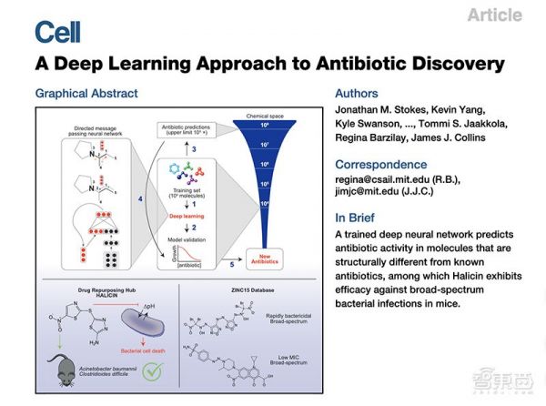AI发现超级抗生素，能干掉多种致病细菌，从1.07亿分子筛出