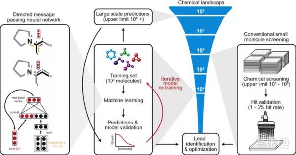 AI发现超级抗生素，能干掉多种致病细菌，从1.07亿分子筛出