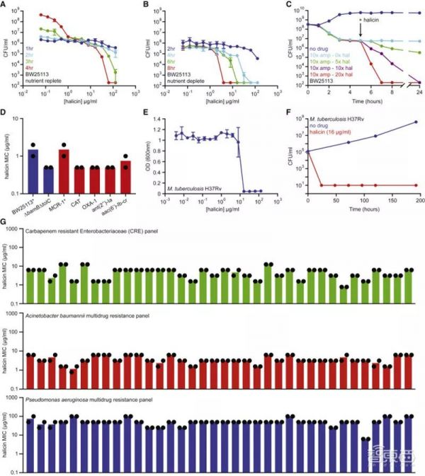 AI发现超级抗生素，能干掉多种致病细菌，从1.07亿分子筛出