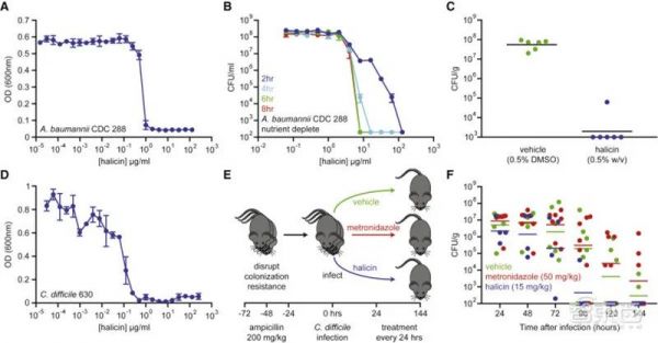 AI发现超级抗生素，能干掉多种致病细菌，从1.07亿分子筛出