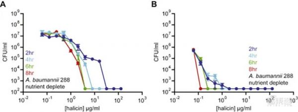 AI发现超级抗生素，能干掉多种致病细菌，从1.07亿分子筛出