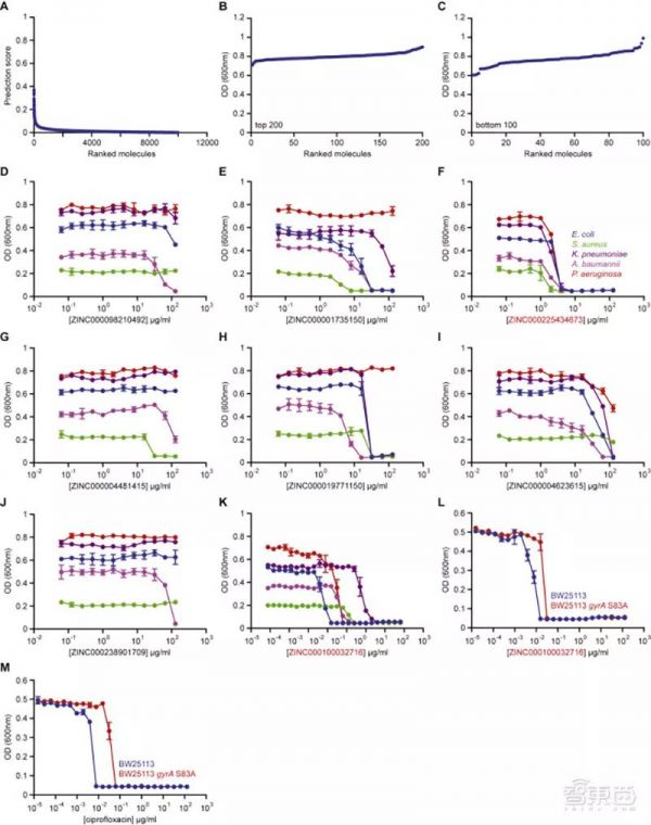 AI发现超级抗生素，能干掉多种致病细菌，从1.07亿分子筛出