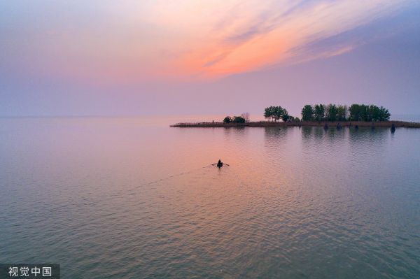 知料 | 浙江10万“鸭子军队”出征，30 年治蝗往事重现