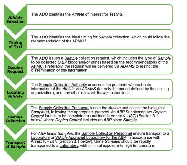 AI 如何成为打击兴奋剂的新武器